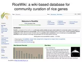 RiceWiki : a wiki-based database for community curation of rice genes