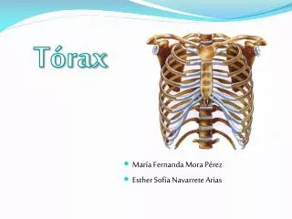 t rax