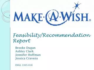 Feasibility/Recommendation Report