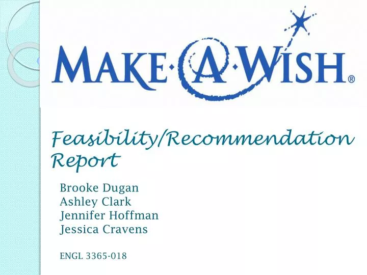feasibility recommendation report