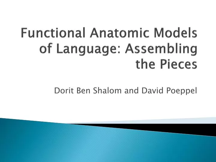 functional anatomic models of language assembling the pieces