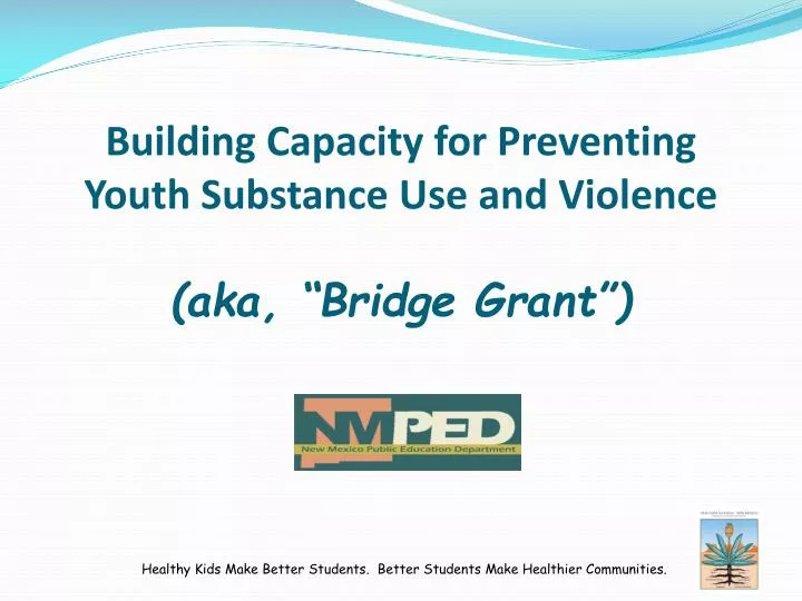 building capacity for preventing youth substance use and violence aka bridge grant