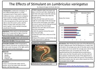 The Effects of Stimulant on Lumbriculus variegatus By: Rebecca Flanagan and Kendra Morrison