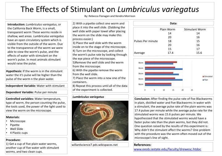 the effects of stimulant on lumbriculus variegatus by rebecca flanagan and kendra morrison