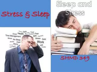 Stress &amp; Sleep