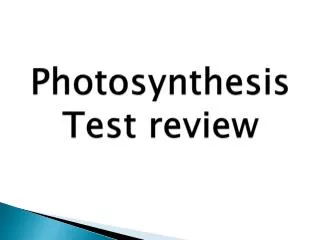 Photosynthesis Test review