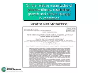 On the relative magnitudes of photosynthesis, respiration, growth and carbon storage in vegetation