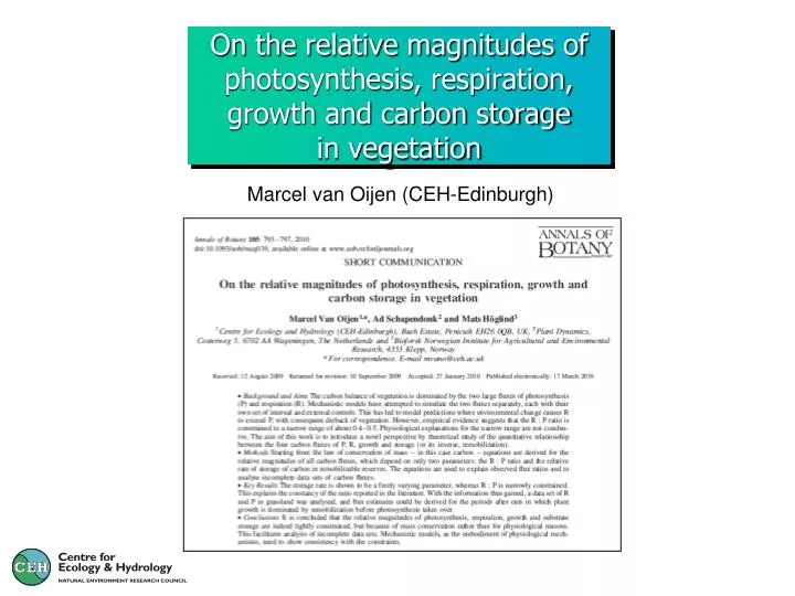 on the relative magnitudes of photosynthesis respiration growth and carbon storage in vegetation