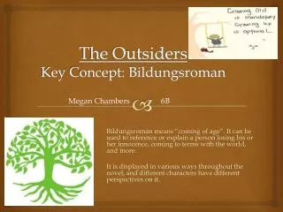 The Outsiders Key Concept: Bildungsroman