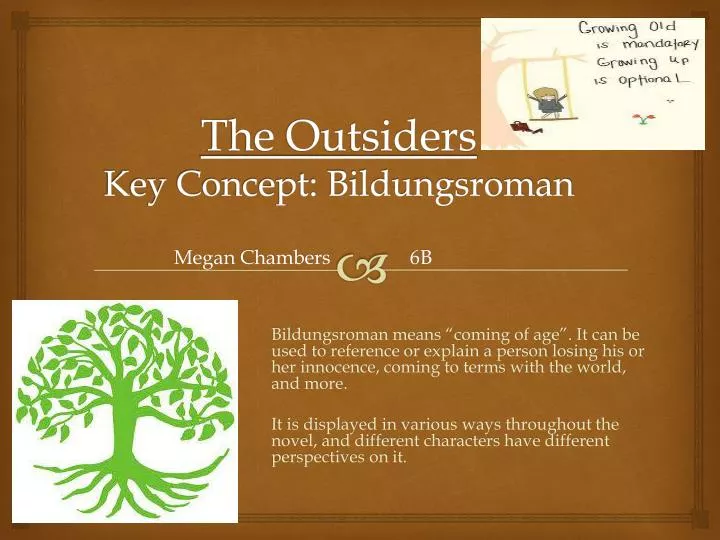the outsiders key concept bildungsroman