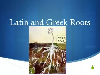 latin and greek roots