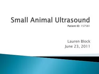 Small Animal Ultrasound Patient ID: 157581