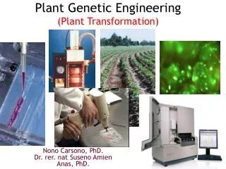 Plant Genetic Engineering ( Plant Transformation)