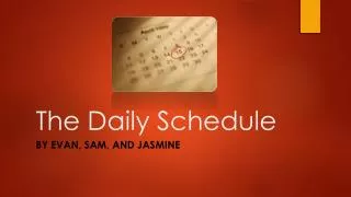 The Daily Schedule
