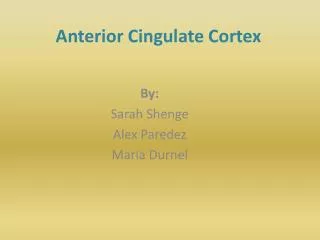 Anterior Cingulate Cortex