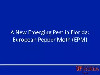 A New Emerging Pest in Florida: European Pepper Moth (EPM)
