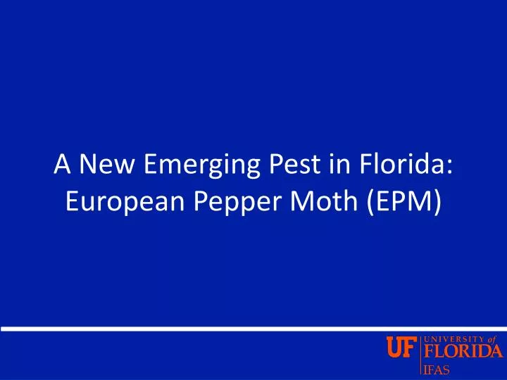 a new emerging pest in florida european pepper moth epm