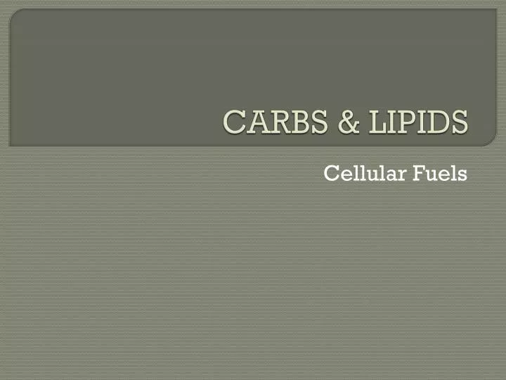 carbs lipids