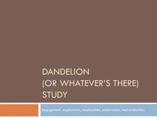 dandelion or whatever s there study