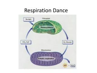 Respiration Dance