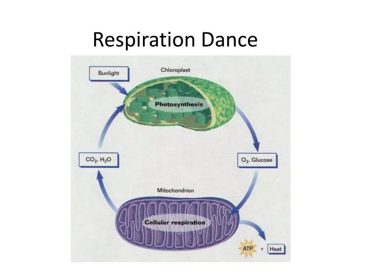 respiration dance