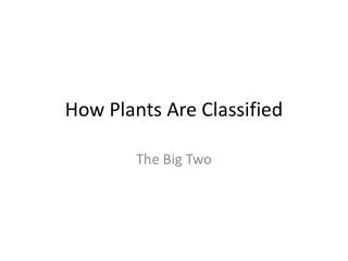 How Plants Are Classified