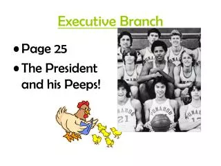 executive branch
