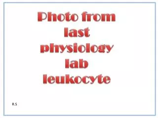 Photo from last physiology lab leukocyte