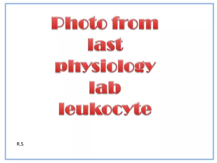 photo from last physiology lab leukocyte
