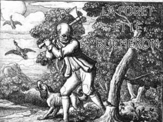 la foret et le bucheron