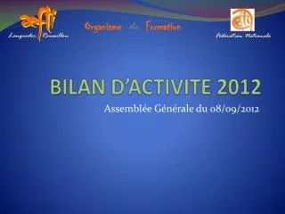 bilan d activite 2012