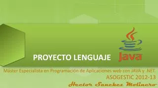 proyecto lenguaje