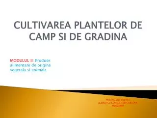 cultivarea plantelor de camp si de gradina