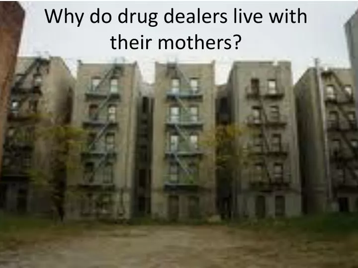 why do drug dealers live with their mothers