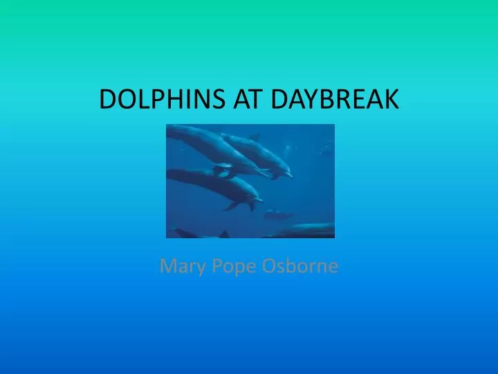 dolphins at daybreak