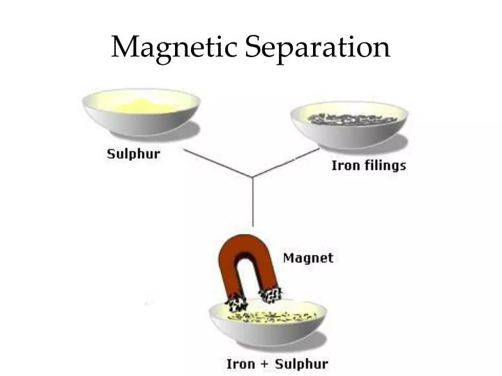 magnetic separation