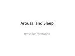Arousal and Sleep - slide 1