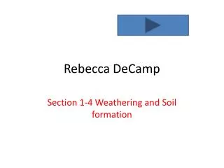 rebecca decamp