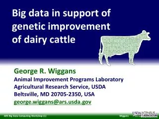 Big data in support of genetic improvement of dairy cattle