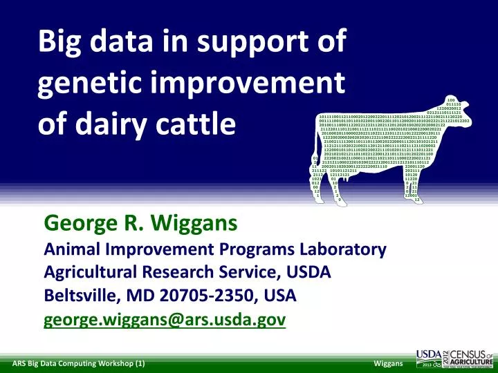 big data in support of genetic improvement of dairy cattle