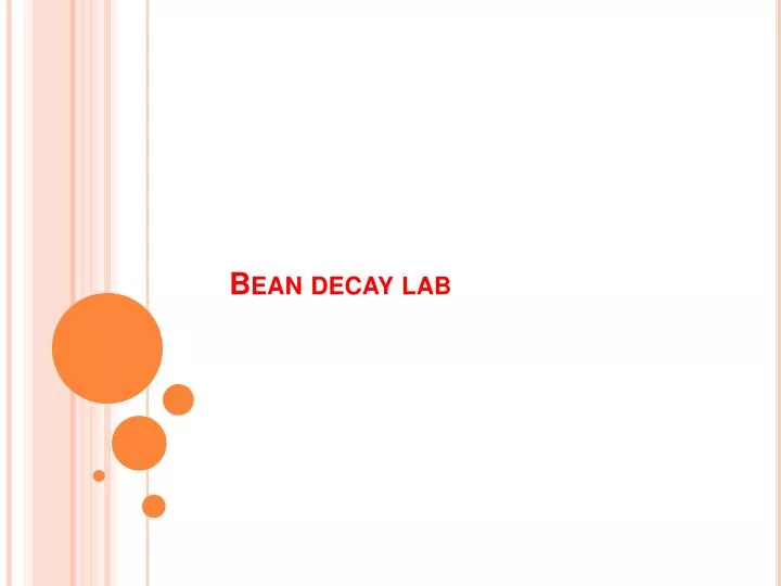 bean decay lab