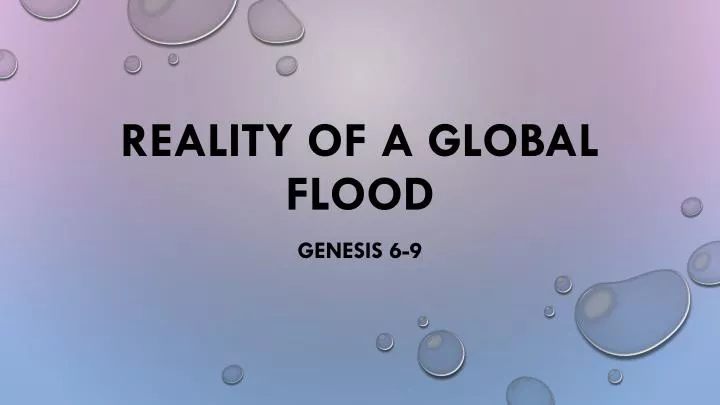 reality of a global flood