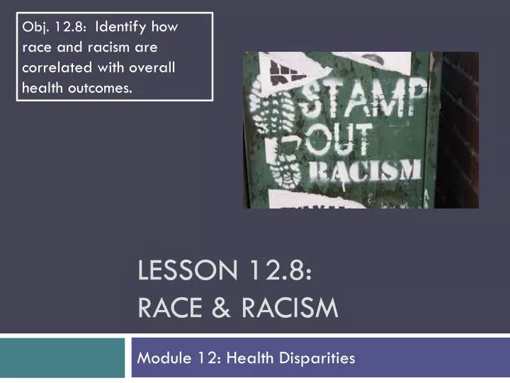 lesson 12 8 race racism