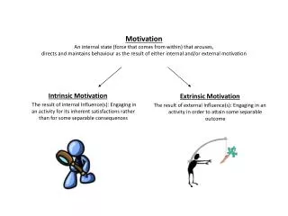 Intrinsic Motivation