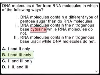 Nucleic Acids