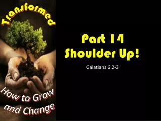 part 14 shoulder up