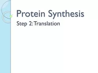 Protein Synthesis