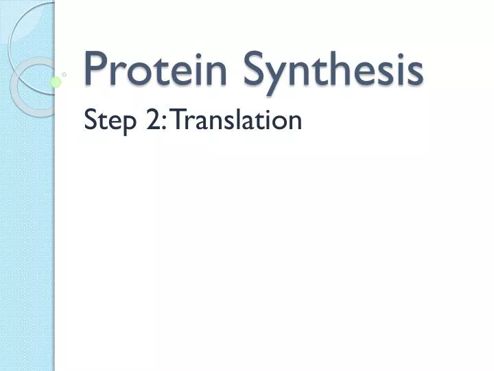 protein synthesis