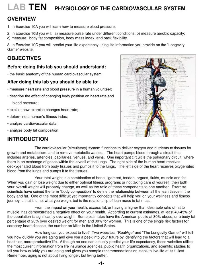 Fit Index - an overview