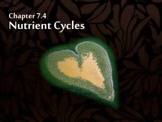 Chapter 7.4 Nutrient Cycles